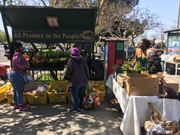 women at produce stand